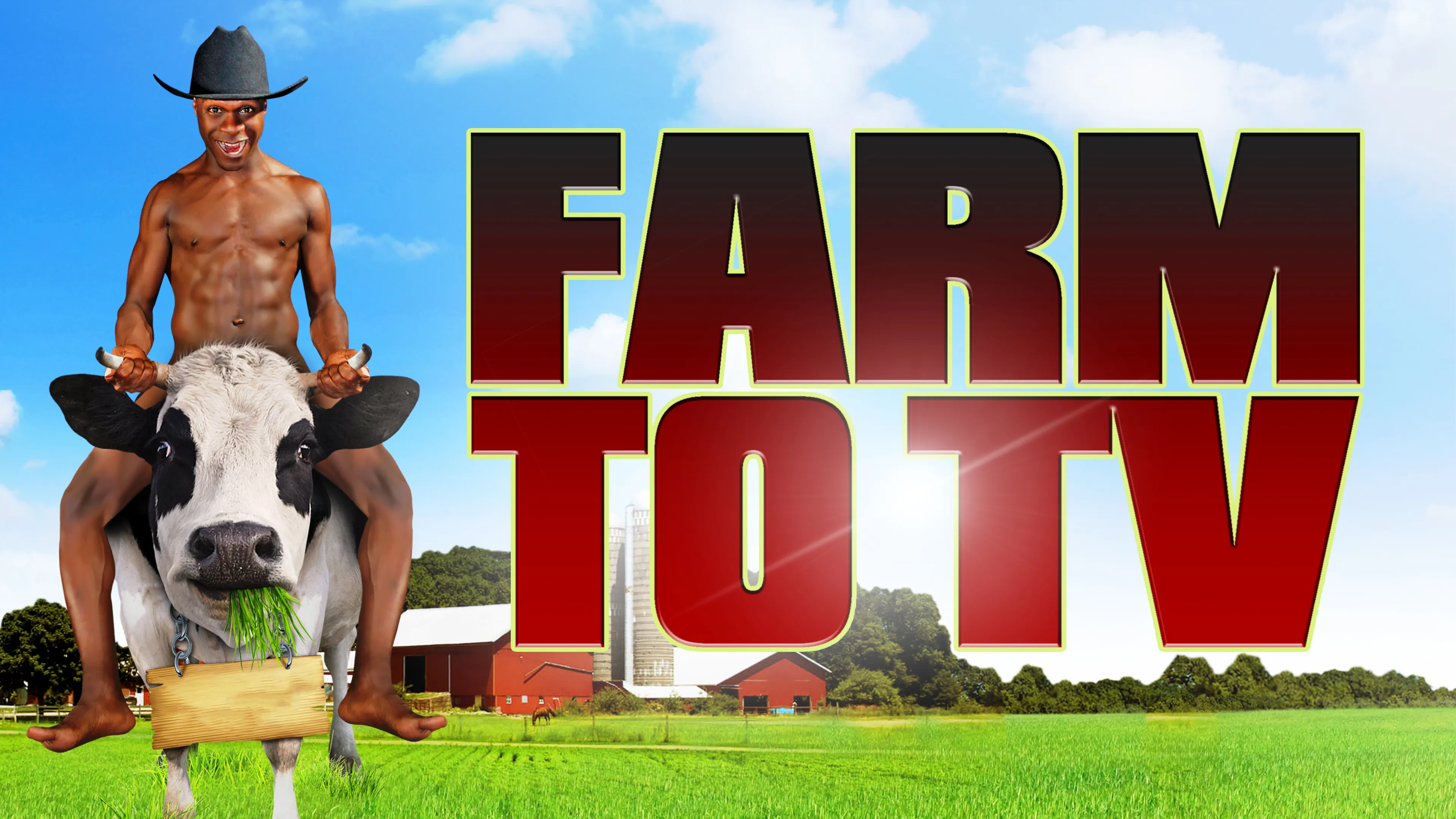 Farm To TV poster
